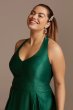 Satin Halter Plus Size Gown with Bow Back Detail 5752TP9W