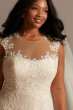 Applique Point DEsprit Plus Size Wedding Dress 9WG3980