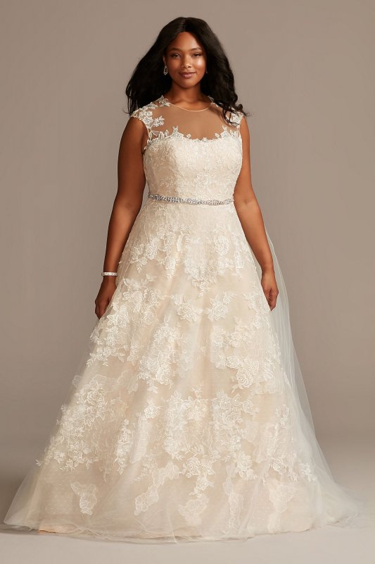 Applique Point DEsprit Plus Size Wedding Dress 9WG3980