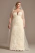 Lace Removable Bow Train Plus Size Wedding Dress 8CWG880