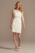 Short Lace Sheath Dress with Illusion Details WBM2596