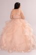 Plus Convertible Ruffle Tulle Quince Dress Fifteen Roses 8FR2101