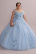 Metallic Floral Plus Size Tulle Quince Ball Gown Fifteen Roses 8FR2114