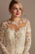 Lace Illusion Long Sleeve Tall Wedding Dress 4XLSLCWG833