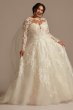 Lace Illusion Long Sleeve Plus Size Wedding Dress 8SLCWG833