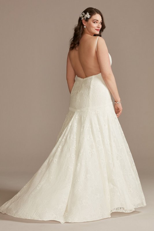 Low Back Plus Size Wedding Dress with Fringe Swags 9WG4024