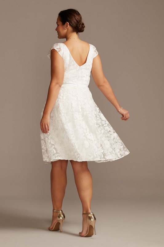 V-Neck Embroidered Lace Cap Sleeve Plus Size Dress 9SDWG0804
