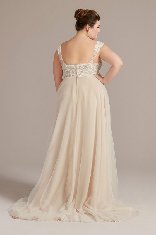 Floral Applique Cap Sleeve Tall Plus Wedding Gown 4XL9WG4065