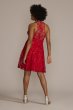 Plus Size Illusion Lace Halter A-Line Dress D39NY22188W