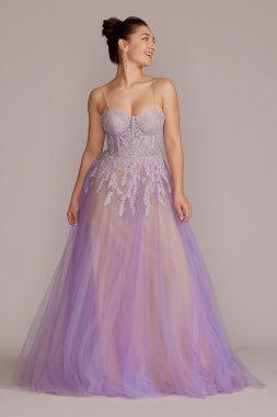 Tulle Ball Gown with Illusion Lace Corset WBM2881