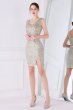 Apricot Sequins Cocktail Dress with Fringes E202283183