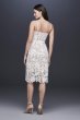 Paisley Lace Illusion Sheath Dress with Sheer Hem 184146DB