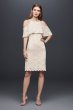 Short Two-Tone Lace Dress with Ruffle Popover 650134