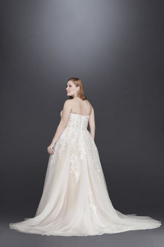 Sheer Lace and Tulle Plus Size Wedding Dress Collection 9WG3861
