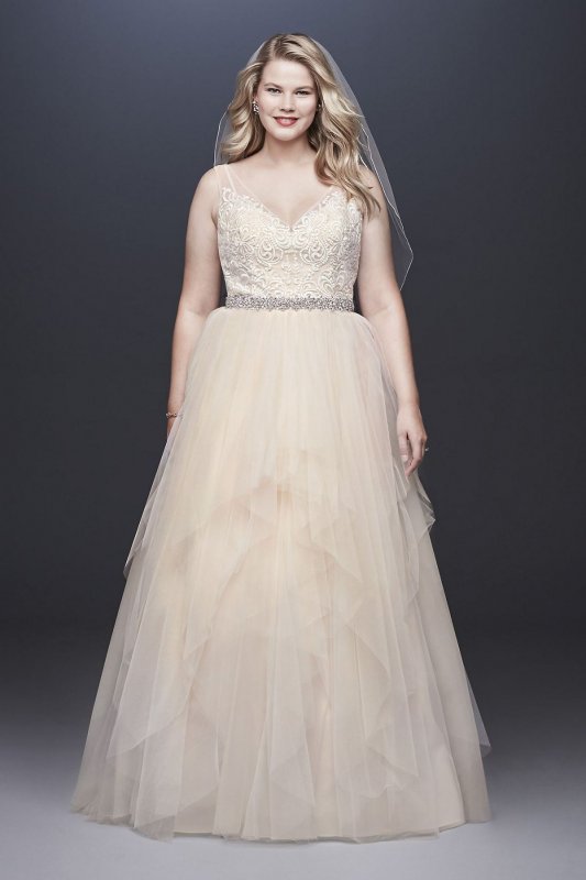 Tulle Plus Size Tank Ball Gown with Layered Skirt 9WG3913
