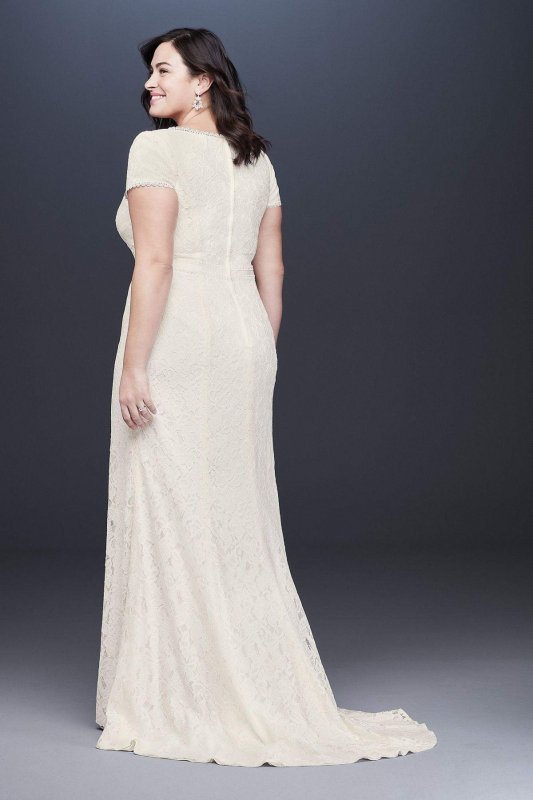 Illusion V-Neck Cap Sleeve Plus Size Wedding Dress 9WG3951