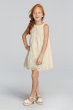 Sleeveless All Over Lace Dress with Scalloped Hem RK1361