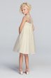 Mesh Flower Girl Dress with Illusion Neckline WG1360