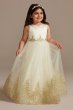 Organza Corded Lace Applique Flower Girl Tank Dres WG1437
