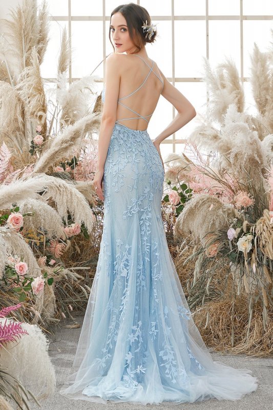 Mermaid Blue Long Prom Dress Backless Evening Dress E202283152