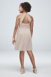 Open-Back Lace Mesh Short Junior Bridesmaid Dress JB9886