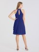 Short Pleated Hater Neck Mesh Dress with Side Cascade AB202139