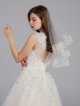 Scalloped V-Neck Lace and Tulle Wedding Dress AB202034