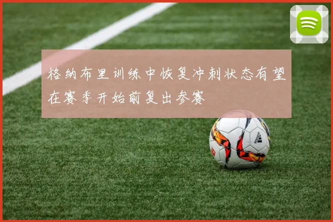 格纳布里训练中恢复冲刺状态有望在赛季开始前复出参赛