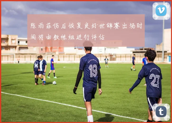 陈雨菲伤后恢复良好世锦赛出场时间将由教练组进行评估